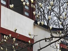 -堤角公园