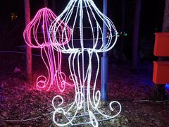 -洛阳白云山景区