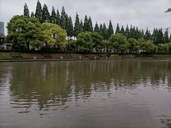 -嘉定紫藤园