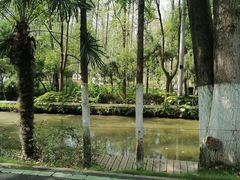 -合肥滨湖国家森林公园