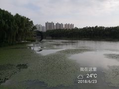 -昆山城市生态森林公园