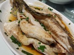 清蒸桂花鱼-建来发饭店(南俊路店)