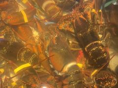 -RED LOBSTER(中城西店)