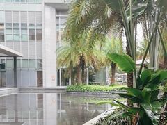 -大堂吧·雪茄吧·威士忌·下午茶(深圳机场希尔顿逸林酒店)