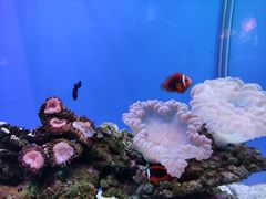 -海合安武汉极地海洋公园