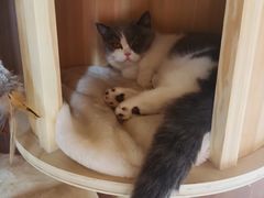 -IFIF 如果花園(宽厚里店)