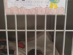 -伟伟宠物医院·CT影像中心·瑞派犬猫综合性门诊(汉口总院)