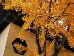 -郑和公园