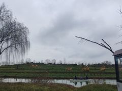 -乌村