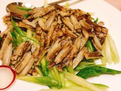 -新光酒家·河豚·海鲜·蟹料理(浦东店)