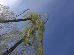 -西宁市人民公园(城西区)