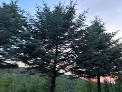 -灵山