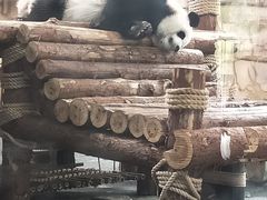 -泉州海丝野生动物世界