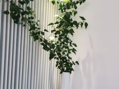 -墨宴(西洋湖店)
