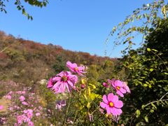 -周口店坡峰岭风景区