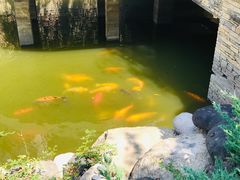 -芭东小镇温泉