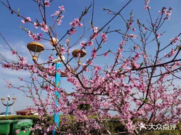 海合安青岛极地海洋公园图片