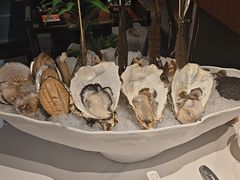 -犇鼎牛潮汕牛肉火锅(新辰里学清路店)