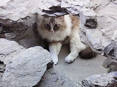 -白兔子密室(长寿路店)