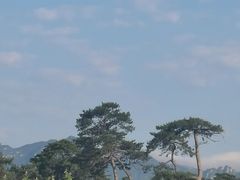 -清西陵