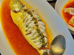 -甄御•海鲜新青岛菜(麦岛店)