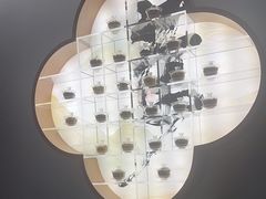 -长风拔筋养身(阿里中心店)