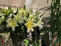 -春暖花开(西溪店)