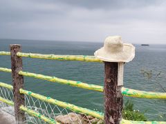 -广东惠东海龟国家级自然保护区