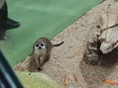 -海合安武汉极地海洋公园