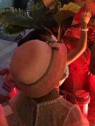 -恐龙探索乐园(磁器口店)