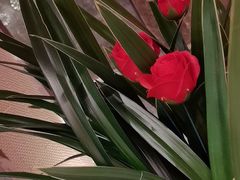 -东吴水韵(吴中店)