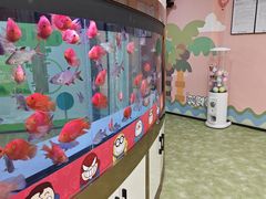 -牙博士口腔品牌连锁(杨浦店)