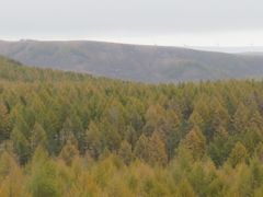 -塞罕坝国家级自然保护区