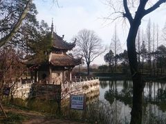 -习家池