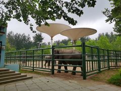 -秦皇岛野生动物园