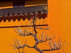 -无锡梅园公园