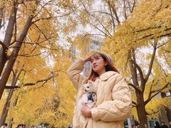 -四川大学(华西校区)