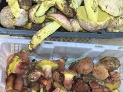 -双喜农庄·菌香园(安居家园店)