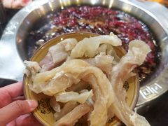 牛蹄筋-大龙火锅(老店)