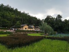 -韶山毛泽东同志故居