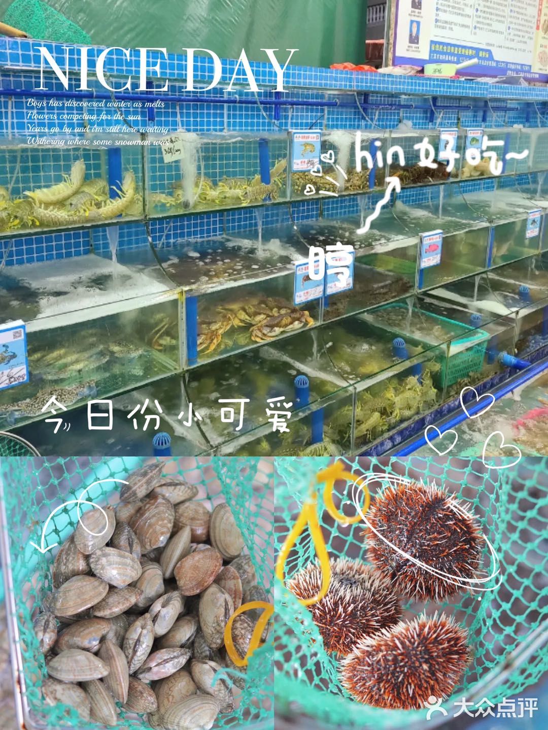 三亚美食｜火遍全网的23年海鲜老店