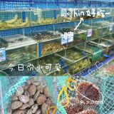 三亚美食｜火遍全网的23年海鲜老店
