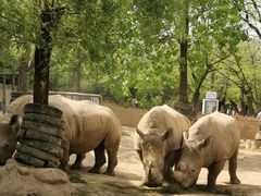 -西安秦岭野生动物园