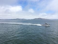 -阿尔卡特拉斯岛