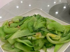 -姚林轩