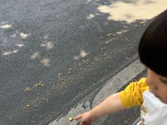 -吾悦广场(南京鼓楼店)
