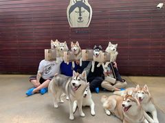 -TrueLove @ Neverland (Husky Cafe)