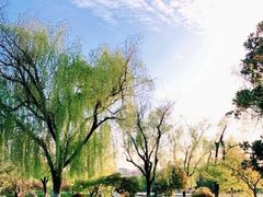 -吴江公园