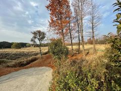 -广富林郊野公园