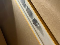 -良子健身·竹Spa(五四广场店)